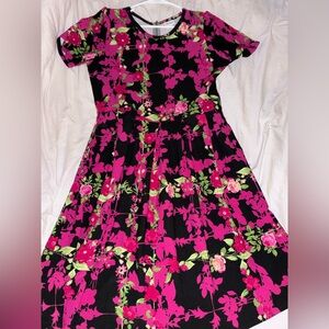 LuLaRoe Amelia Pink and Green Floral Dress